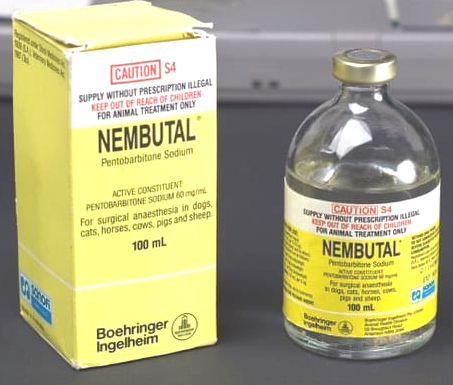 Nembutal Injection